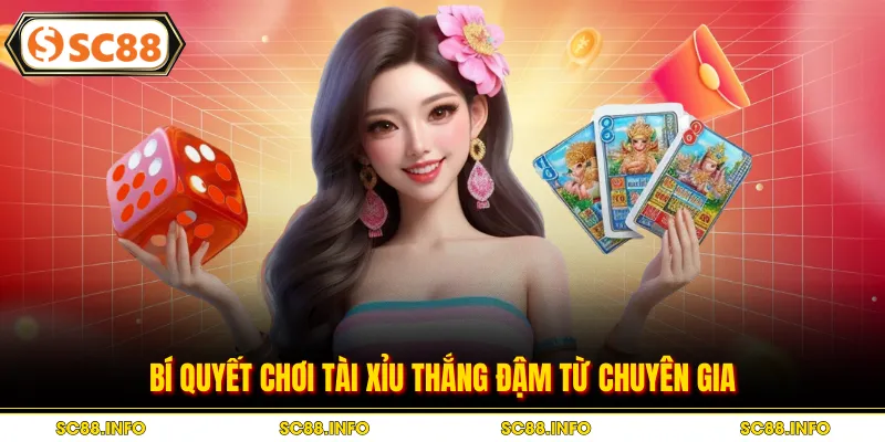 Bí quyết chơi tài xỉu thắng đậm từ chuyên gia