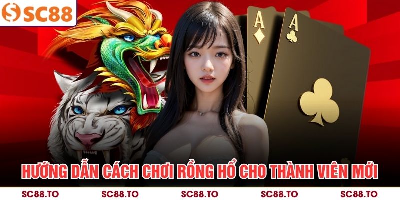 Hướng dẫn cách chơi Rồng Hổ cho thành viên mới